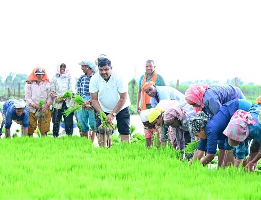कृषि कार्यों में शामिल हुए शिक्षा मंत्री गजेन्द्र यादव