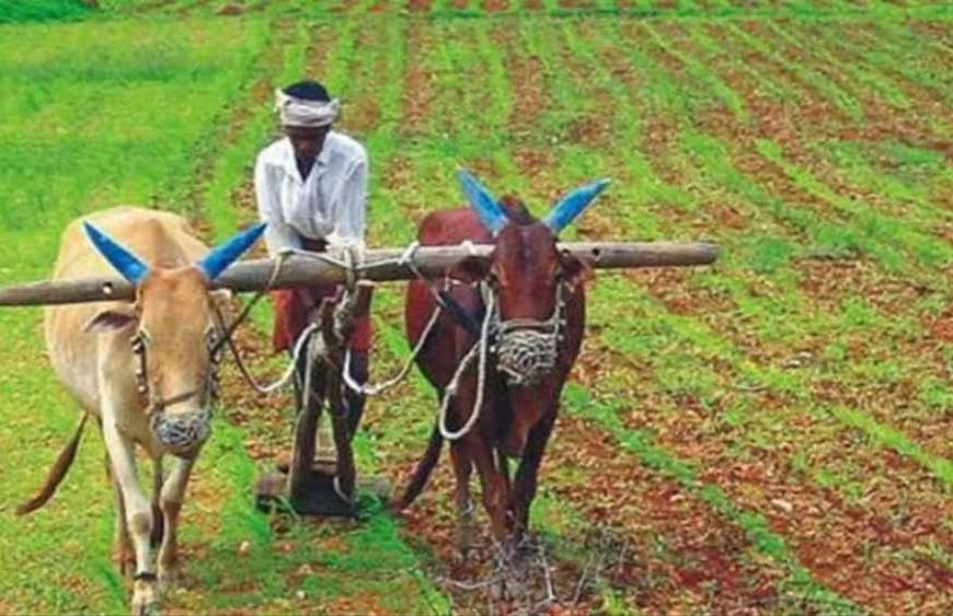 CG के किसानों के लिए अलर्ट: फसल बीमा योजना का लाभ लेने 31 जुलाई तक करें आवेदन, मौसम की मार से मिलेगा सुरक्षा कवच