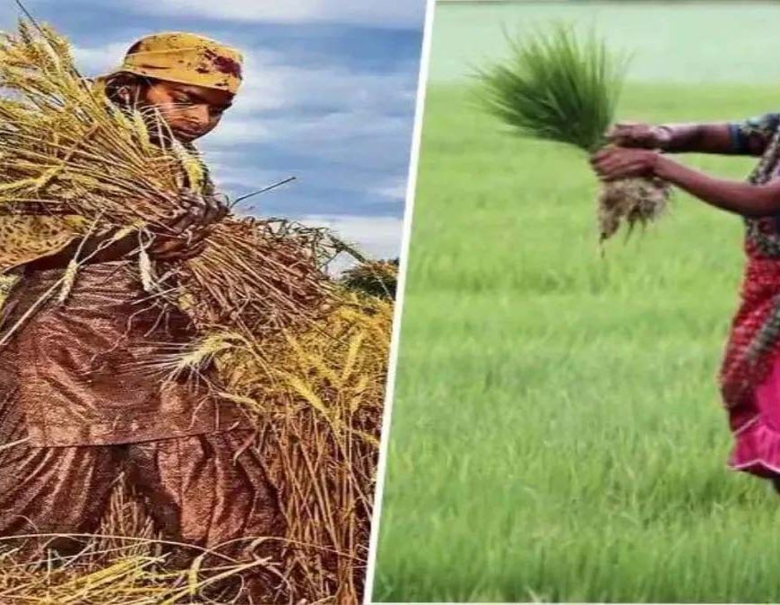 बिहार में बढ़ी महिला किसानों की ताकत, 89 लाख का आंकड़ा पार