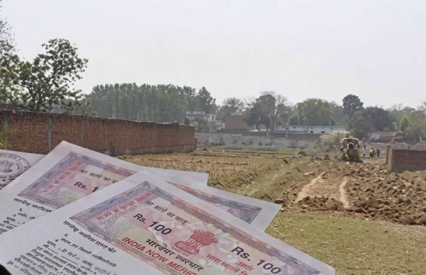 हरियाणा में पर्ल ग्रुप जमीन घोटाले में बड़ा एक्शन, पूर्व तहसीलदार विक्रम सिंगला फिर गिरफ्तार