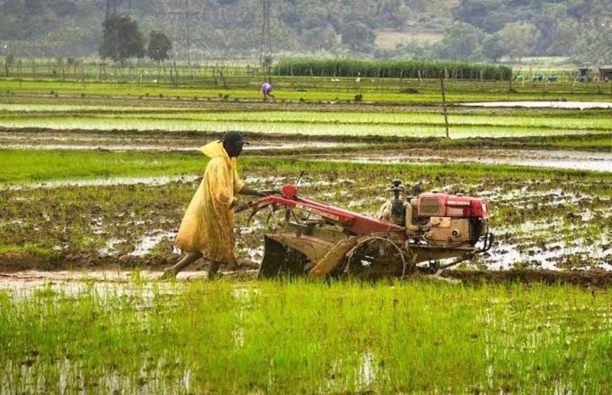 ​धमतरी में कृषि क्रांति: 22 नई सहकारी समितियों से किसानों की राह आसान