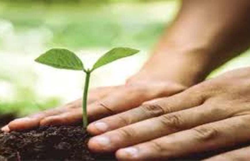 15 अगस्त पर यूपी का हरित संकल्प, हर जिले में बनेगी 'वंदे मातरम् वाटिका'