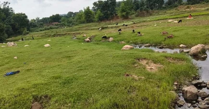 कम बारिश से बरवाडीह में बालू संकट की आहट, नदियों में नहीं हुआ प्राकृतिक पुनर्भरण