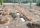 मनरेगा से बदली निम्मलगुड़ा की तस्वीर-500 जल अवशोषण ट्रेंच से बढ़ा भू-जल स्तर, 1,801 मानव-दिवस का मिला रोजगार