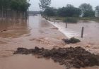 पटियाला में 3.5 घंटे में 143 MM मूसलाधार बारिश, शहर हुआ जलमग्न