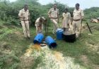 राजस्थान में अवैध शराब पर आबकारी विभाग की बड़ी कार्रवाई, हजारों लीटर वॉश नष्ट