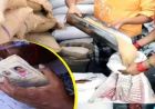 हरियाणा में राशन कार्ड पर बड़ा अपडेट, 6 महीने तक गेहूं-चावल नहीं लिया तो कार्ड हो सकता है बंद