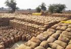 धान खरीदी केंद्र में ₹1.31 करोड़ की गड़बड़ी, संस्था प्रबंधक समेत दो गिरफ्तार