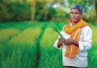 किसानों के लिए बड़ी राहत, मोबाइल से फोटो भेजकर पता चलेगी फसल की बीमारी