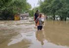 पटियाला के घनौर में फिर घग्गर का खौफ, सड़क पर साढ़े 3 फीट पानी से मचा हड़कंप