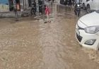 हरियाणा के अंबाला में अगस्त में 50% कम बारिश, बादल छाने से गर्मी से राहत