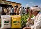 MP के किसानों को खाद के लिए नहीं होगी परेशानी, सरकार ने जारी किए WhatsApp और हेल्पलाइन नंबर