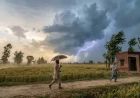 Punjab में सुस्त पड़ा मानसून, बारिश का कोई अलर्ट नहीं; उमस करेगी परेशान