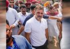 पंजाब कांग्रेस का कलह खत्म कराने आएंगे राहुल गांधी! सितंबर में 135 किमी की यात्रा, चन्नी-वड़िंग भी रहेंगे साथ