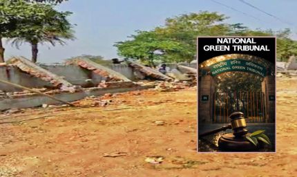 भोज वेटलैंड पर NGT सख्त, 50 मीटर FTL के भीतर सभी अवैध कब्जे हटेंगे; 31 अगस्त तक मांगी रिपोर्ट