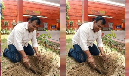 प्रदेश उपाध्यक्ष महेश सिनकर ने आम के वृक्ष मंदिर परिसर में लगाए