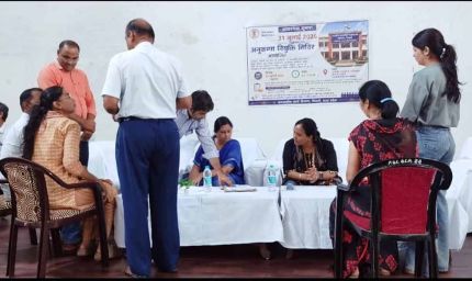 कलेक्टर नेहा मीना की पहल से लगा वृहद अनुकंपा नियुक्ति शिविर