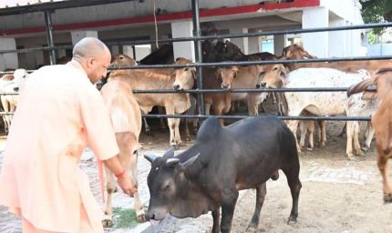 सीएम योगी की गोसंरक्षण नीति का असर : करोड़ों कमा रहे युवा, बढ़ रहा रोजगार