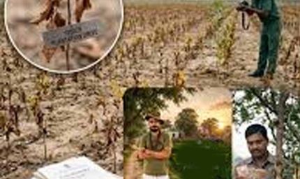 हरियाणा के बागवानी विभाग में 100 करोड़ के घोटाले पर 13 साल बाद FIR, खेतों में नहीं मिला एक भी पौधा