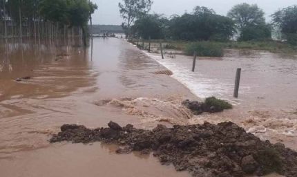 पटियाला में 3.5 घंटे में 143 MM मूसलाधार बारिश, शहर हुआ जलमग्न