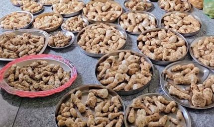 बीकानेर के धोरों में उगी देशी खुंभी, ग्रामीणों की बढ़ी आमदनी