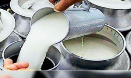 देश में अव्वलः 38.8 मिलियन मीट्रिक टन दुग्ध उत्पादन के साथ उत्तर प्रदेश शीर्ष पर