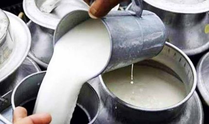 CG में मिलावटखोरों पर सख्त हुए स्वास्थ्य मंत्री, दूध-दही और मक्खन में गड़बड़ी करने वालों को चेतावनी