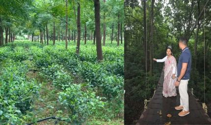 हजारीबाग का डेमोटांड फार्म बनेगा एग्रो टूरिज्म केंद्र, किसानों को मिलेगा प्रशिक्षण