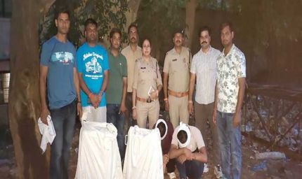 मध्यप्रदेश पुलिस की अवैध मादक पदार्थों के विरूद्ध प्रभावी कार्यवाही