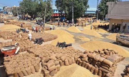 हरियाणा राइस मिलर्स को मुख्यमंत्री की बड़ी राहत, बोनस और समाधान का भरोसा