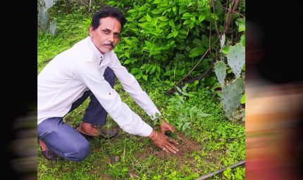 अनूपपुर जिला अध्यक्ष प्रकाश सोनी ने लगाए  नीम का पौधे