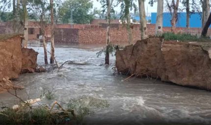हरियाणा में भारी बारिश का कहर, कई जगह मकान ढहे, तटबंध टूटने से बाढ़ का खतरा बढ़ा