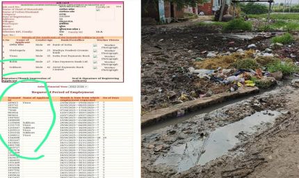 इमिलिया पंचायत जांच पर उठे सवाल: शिकायतकर्ता को दरकिनार कर तैयार हुई रिपोर्ट?