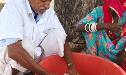 चोरों से बचाने खेत में दबाए पांच लाख, दीमक ने 75 फीसदी नोट किए बर्बाद