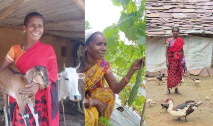बस्तर के खेतों में बही समृद्धि की बयार