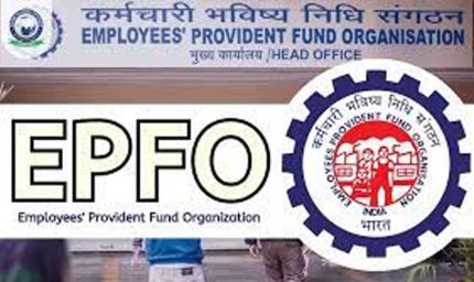 EPFO Alert: फर्जीवाड़े से बचना है तो तुरंत करें ये 6 काम, छोटी सी गलती पड़ सकती है भारी