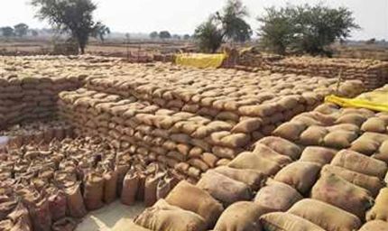 धान खरीदी केंद्र में ₹1.31 करोड़ की गड़बड़ी, संस्था प्रबंधक समेत दो गिरफ्तार