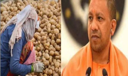 योगी सरकार का आलू किसानों को बड़ा तोहफा, भंडारण शुल्क में ₹1 किलो राहत