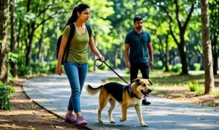 लखनऊ में पालतू कुत्ते-बिल्ली पालने के नए नियम लागू, लाइसेंस नहीं तो भारी जुर्माना