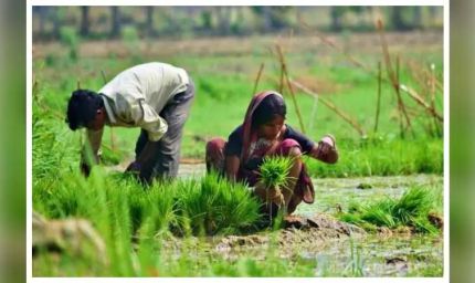 झारखंड में किसानों के लिए बड़ा फैसला, भूमि संरक्षण योजनाओं पर मंत्री ने दिखाई सख्ती