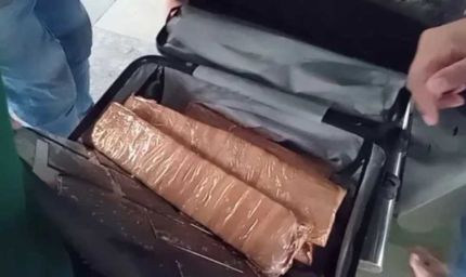 Bhopal Drug Bust: अंतरराष्ट्रीय ड्रग सिंडिकेट का भंडाफोड़, 8.6 किलो ड्रग्स जब्त; 5 गिरफ्तार