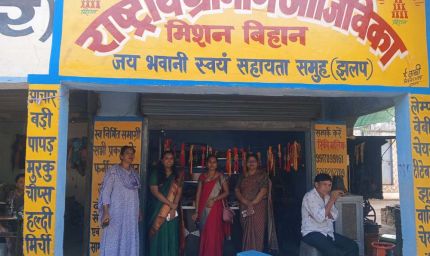 सीईओ अनुपमा आनंद ने झलप में पीएम सूर्य घर योजना और बिहान समूह की आजीविका गतिविधियों का किया निरीक्षण