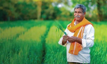किसानों के लिए बड़ी राहत, मोबाइल से फोटो भेजकर पता चलेगी फसल की बीमारी