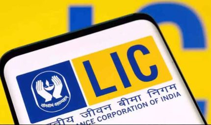 LIC के बाद अब इन कंपनियों पर सरकार की नजर, हिस्सेदारी बिक्री से मिल सकता है कमाई का मौका
