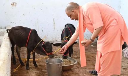 यूपी में 10 हजार गो मित्र बनेंगे, योगी सरकार Gen Z को गो संरक्षण से जोड़ेगी
