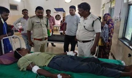 बाघिन ने किया चरवाहे पर हमला, भैंसों की वफादारी से बची जान