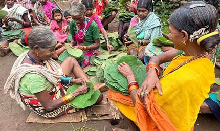 Bastar में सुरक्षा से विकास तक बदली तस्वीर, पुलिस कोऑर्डिनेशन सेंटर में अधिकारियों ने दिया प्रेजेंटेशन