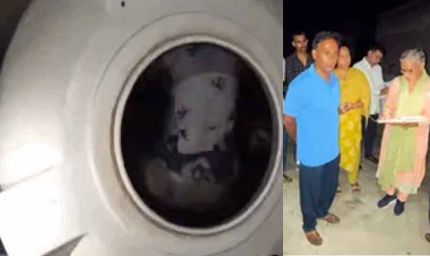 शादी के 8 महीने बाद पानी की टंकी में मिला महिला का शव, रोहतक में खौफनाक हत्या से सनसनी