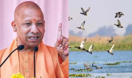यूपी की सात और वेटलैंड बनेंगी रामसर साइट, अंतरराष्ट्रीय पहचान मिलने से बढ़ेगा संरक्षण