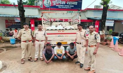 मध्यप्रदेश पुलिस की चोरी एवं नकबजनी के विरूद्ध प्रभावी कार्यवाही